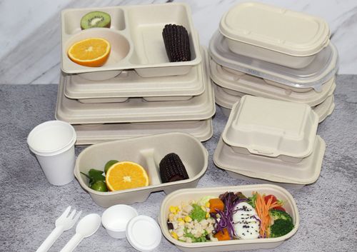 綠色餐桌革命 紙漿模塑植物纖維餐具引領(lǐng)可降解食品包裝新潮流