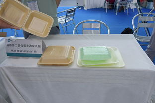 可降解飯盒與餐具 綠色未來的餐桌革命
